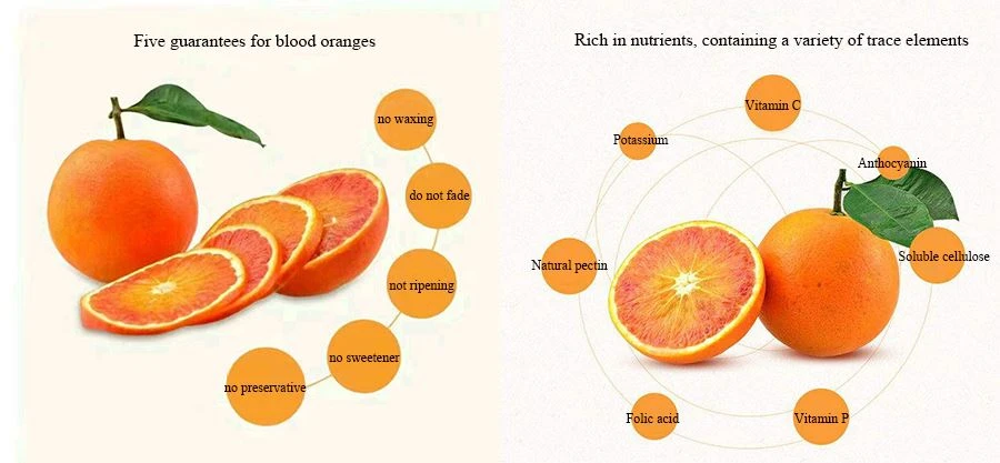 Blood Orange Fruit Powder