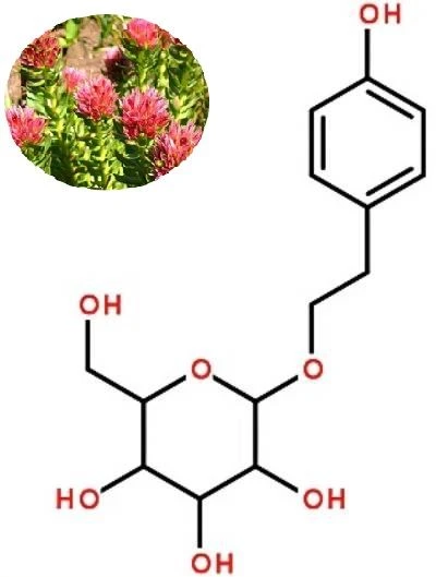 Salidroside Powder