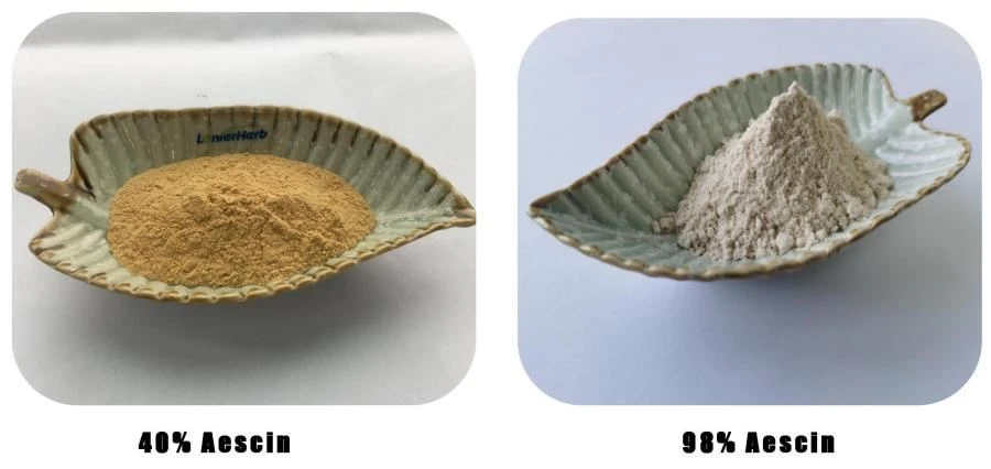 Aescin Powder Manufacturer Aescin Powder Manufacturer