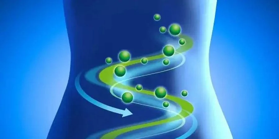 Papain Enzyme Powder Function