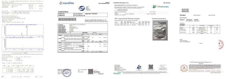 Test Report 2