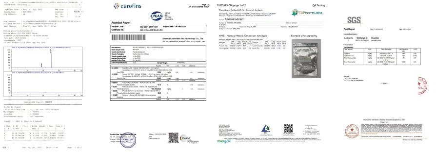 Test Report 2