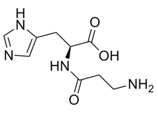 L-Carnosine Powder , Carnosine 98%