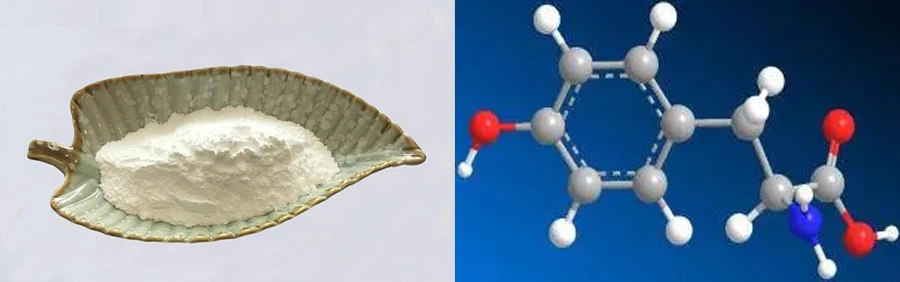 Tyrosine Powder