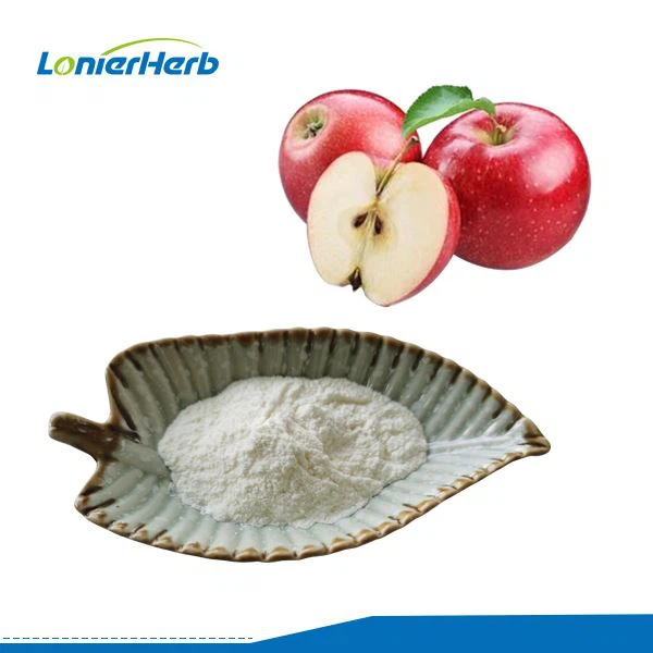 साइडर सिरका पाउडर