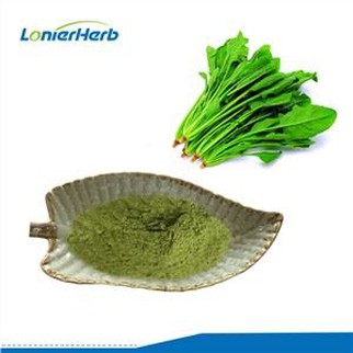 पालक का रस पाउडर