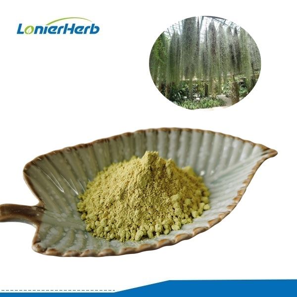 यूस्निया एसिड पाउडर