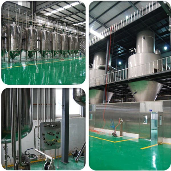 Grape Skin Extract Powder