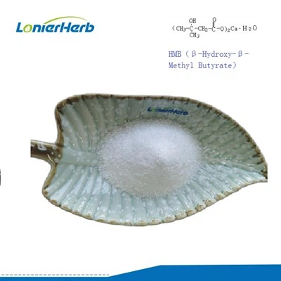 एचएमबी सीए