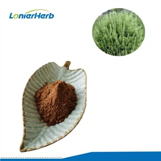 रोज़मेरी अर्क पाउडर