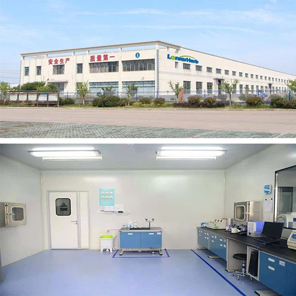 Sponge Spongilla Powder